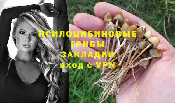 наркотики Заводоуковск