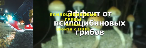 эйфоретик Заволжье