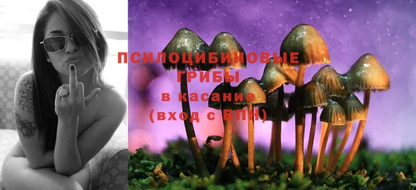 эйфоретик Заволжье
